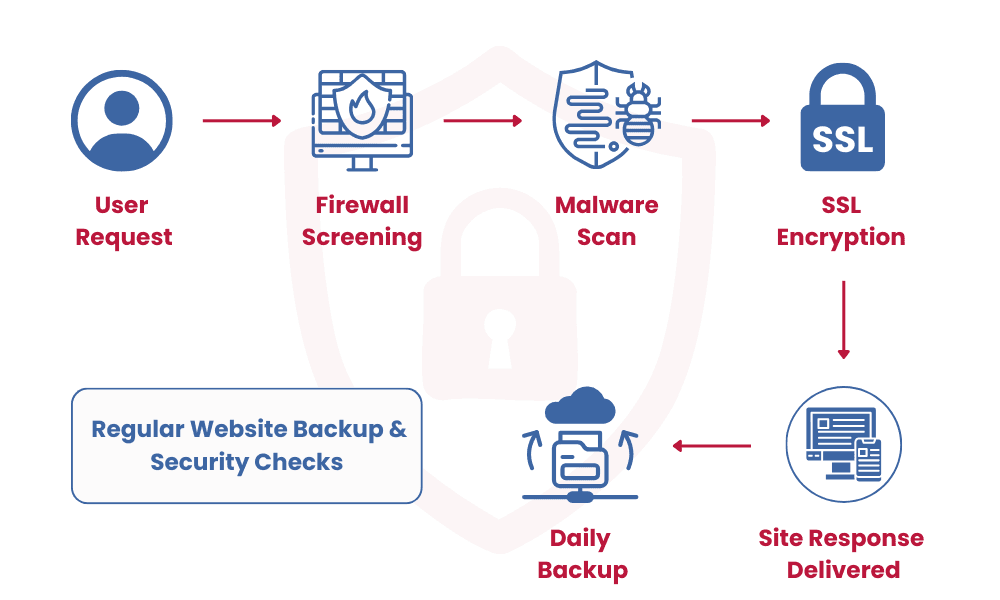 Importance of Regular Website Backup & Security Checks